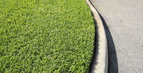Driveway Curb Repair in Smyrna